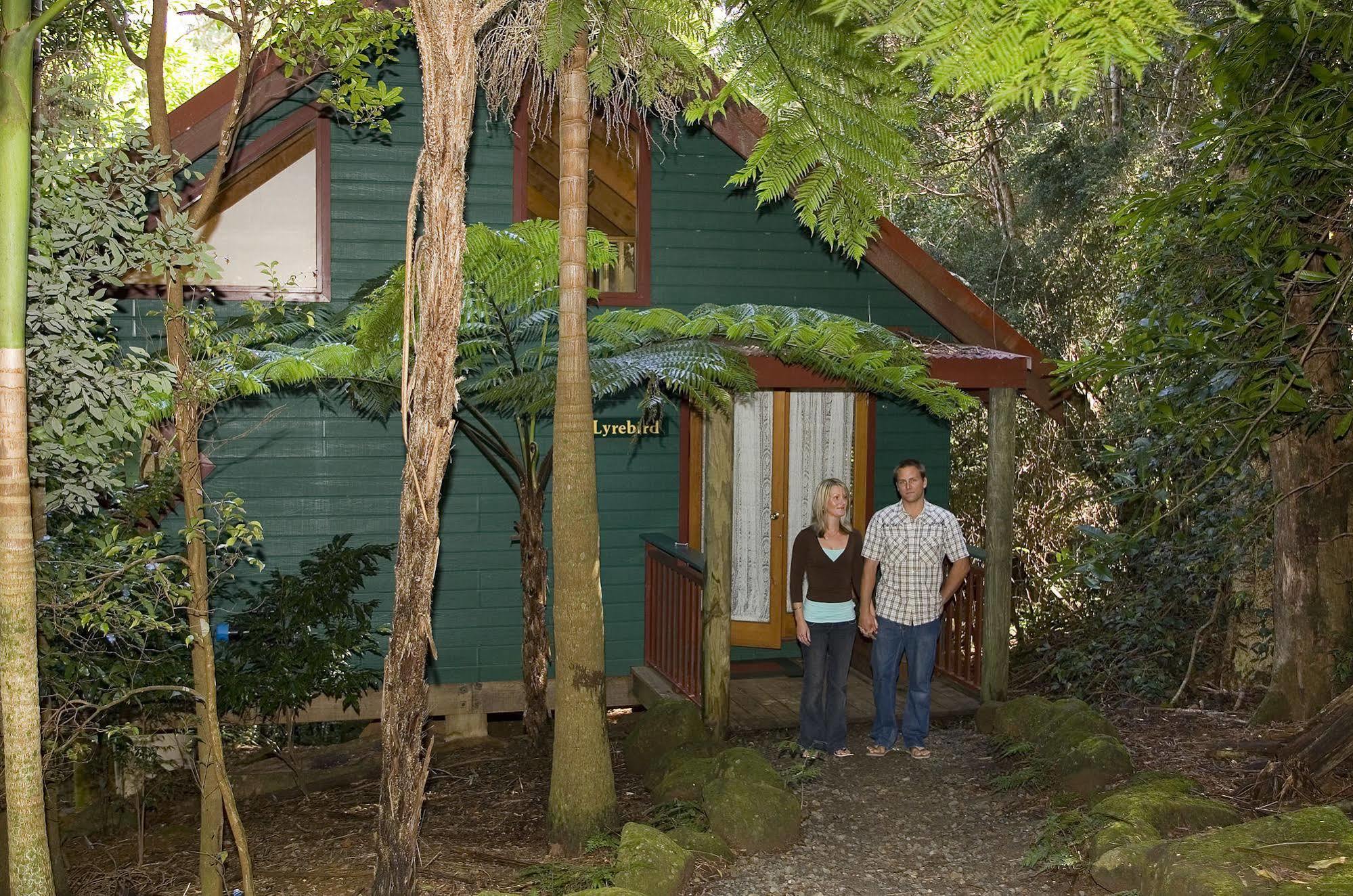 Springbrook Lyrebird Retreat 빌라 외부 사진