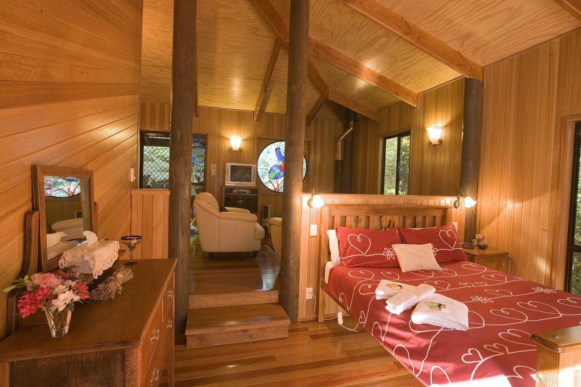 Springbrook Lyrebird Retreat 빌라 외부 사진