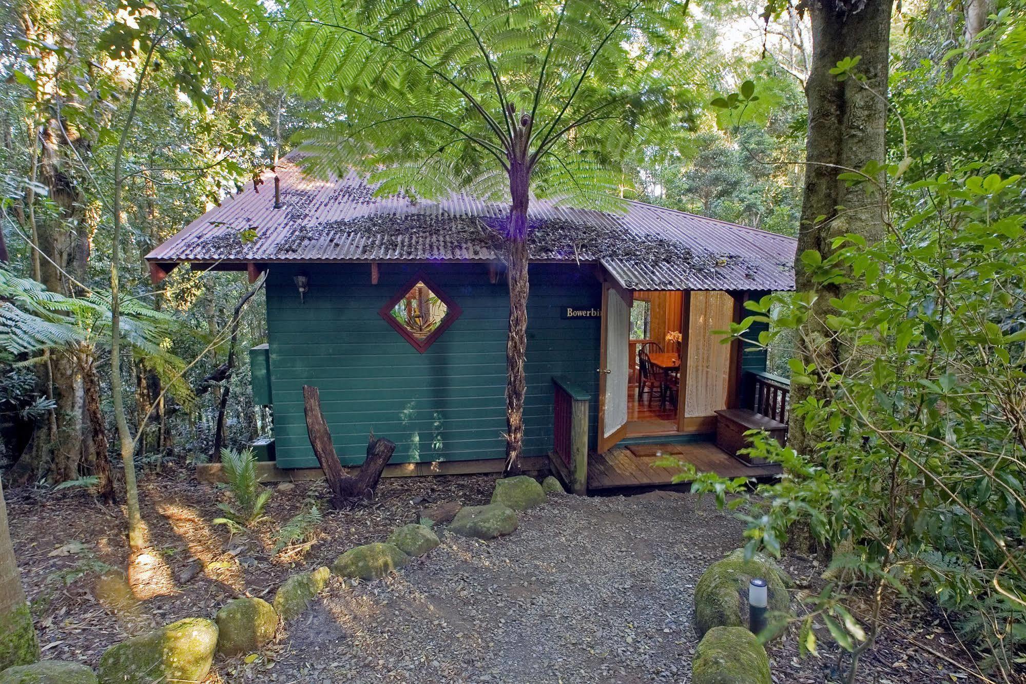 Springbrook Lyrebird Retreat 빌라 외부 사진