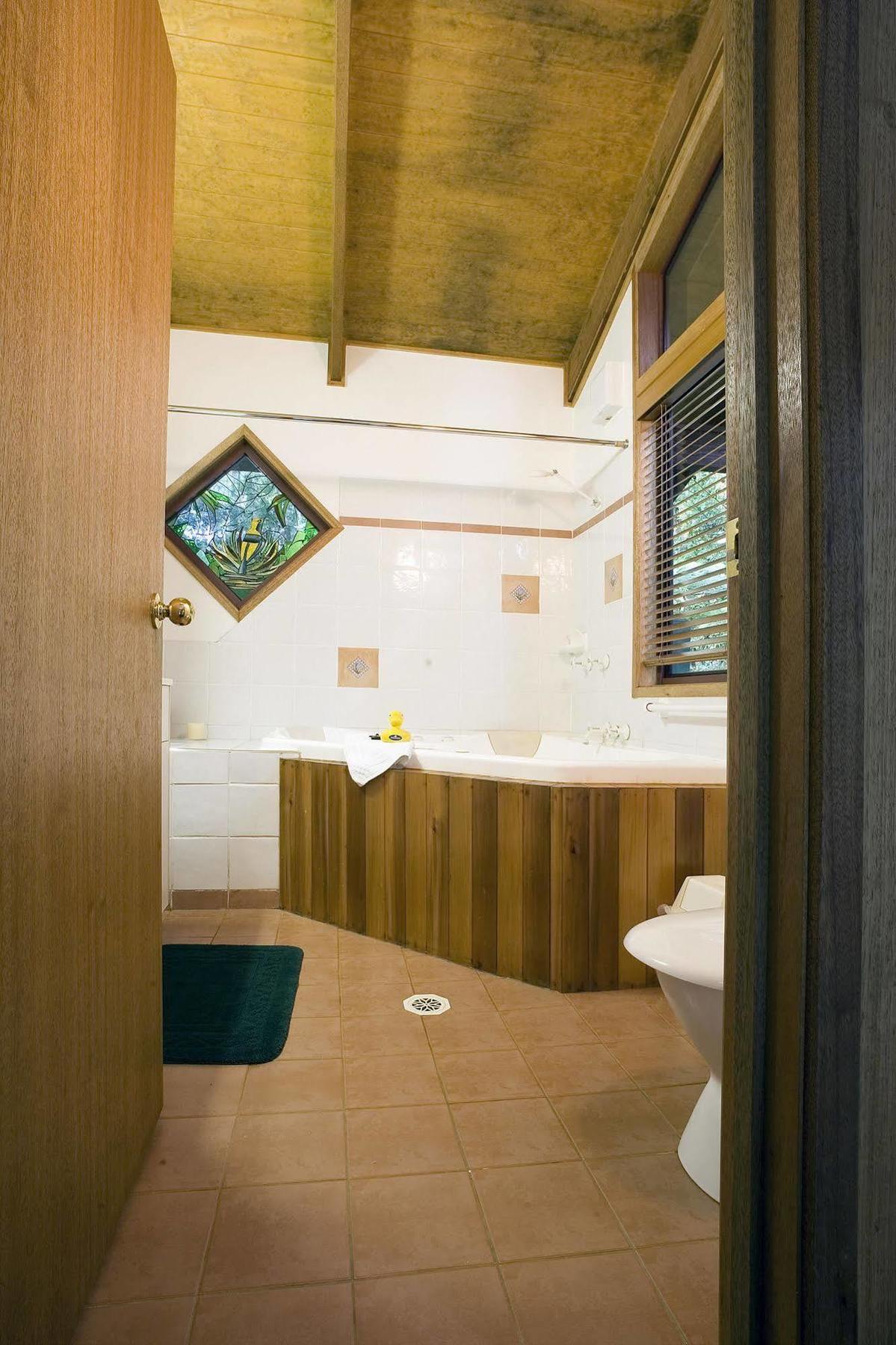 Springbrook Lyrebird Retreat 빌라 외부 사진