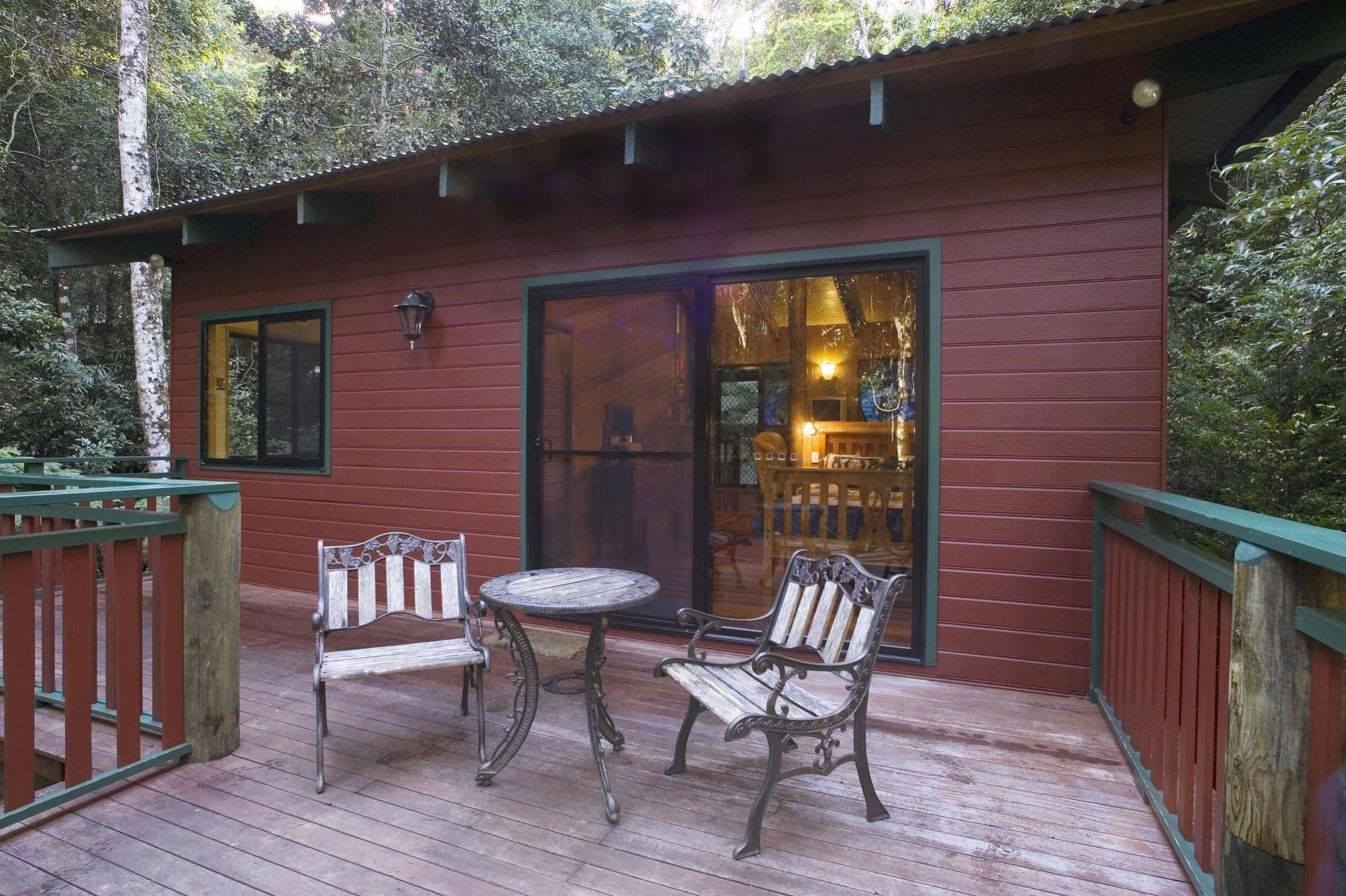 Springbrook Lyrebird Retreat 빌라 외부 사진