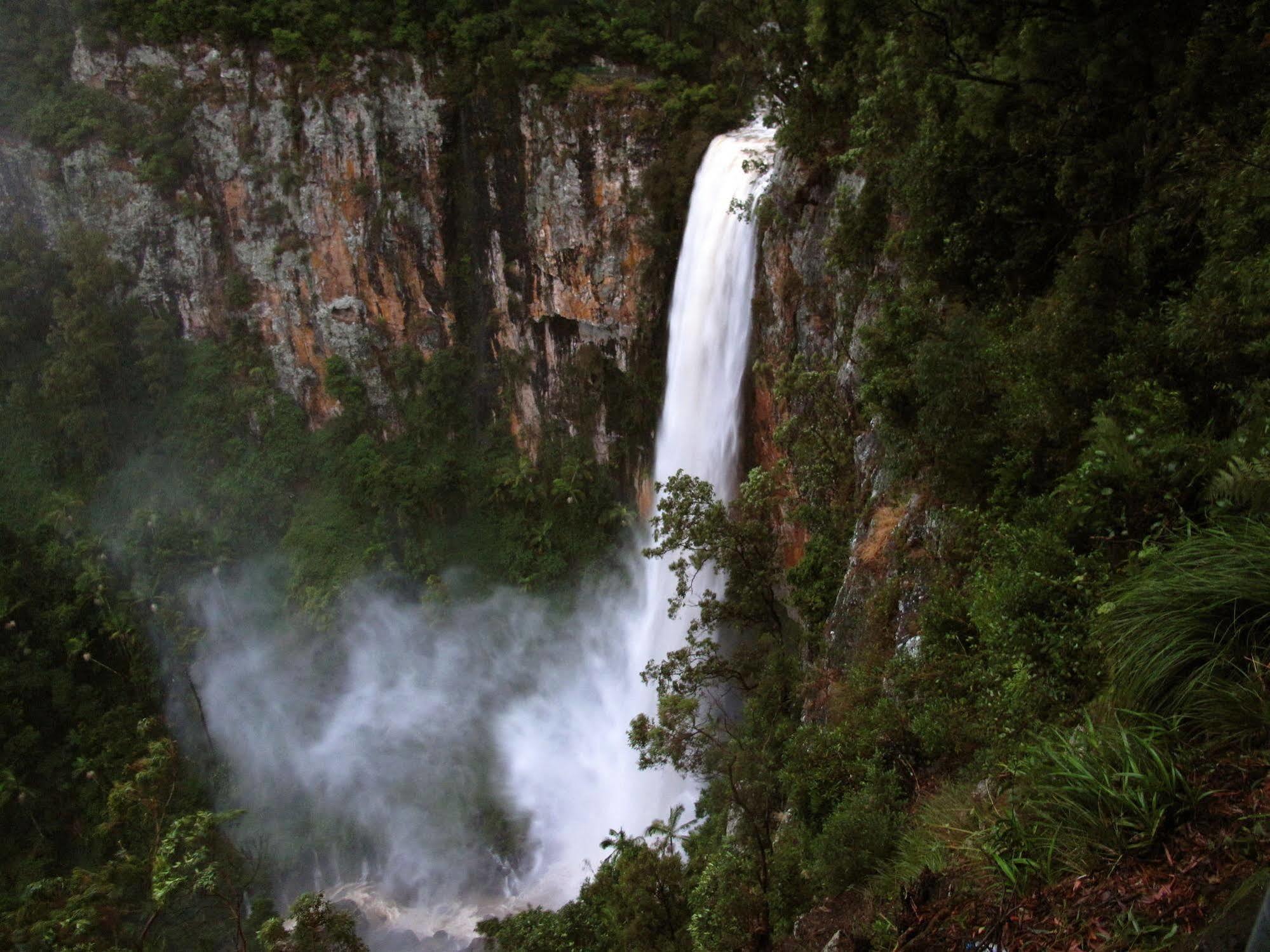 Springbrook Lyrebird Retreat 빌라 외부 사진
