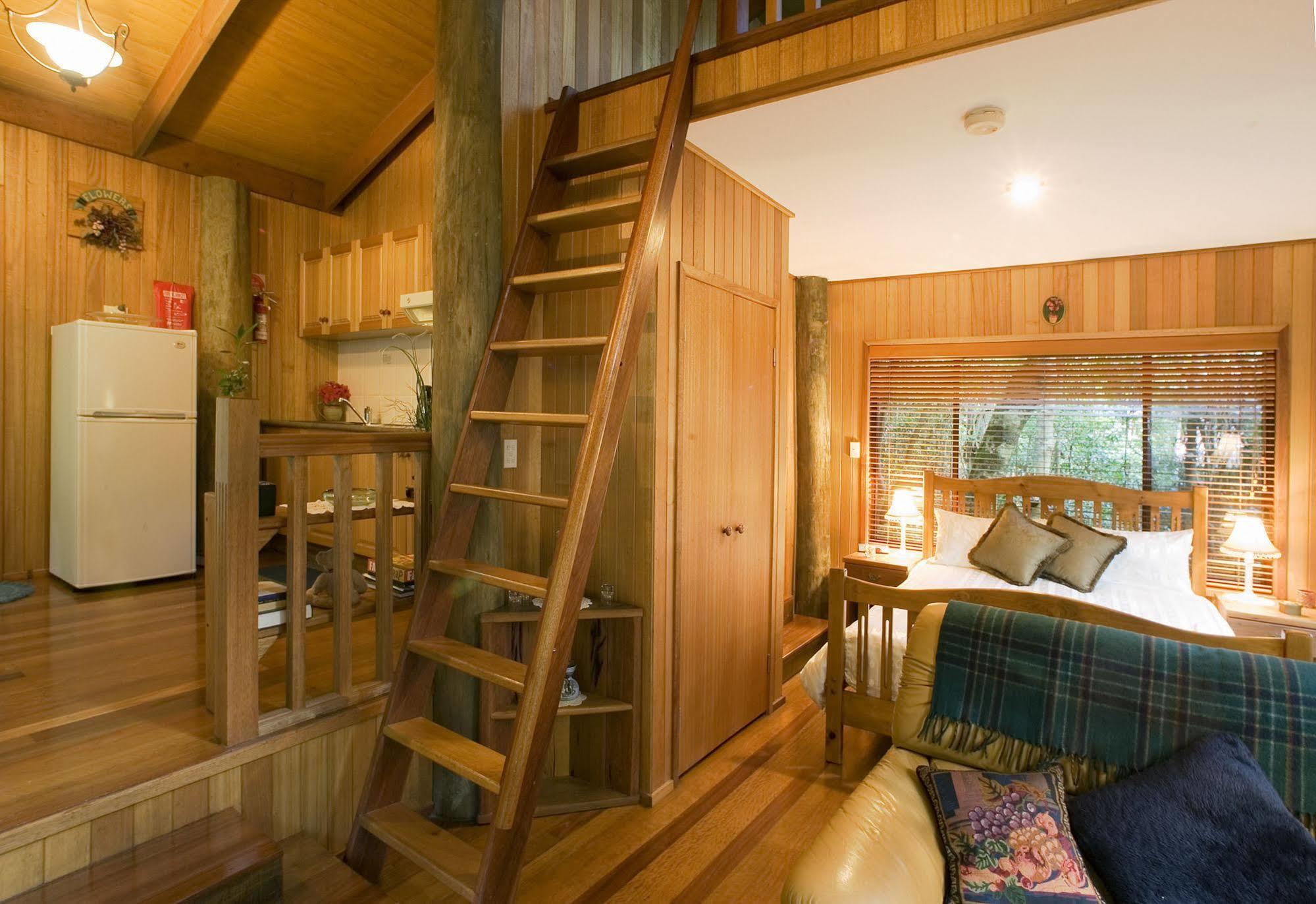 Springbrook Lyrebird Retreat 빌라 외부 사진