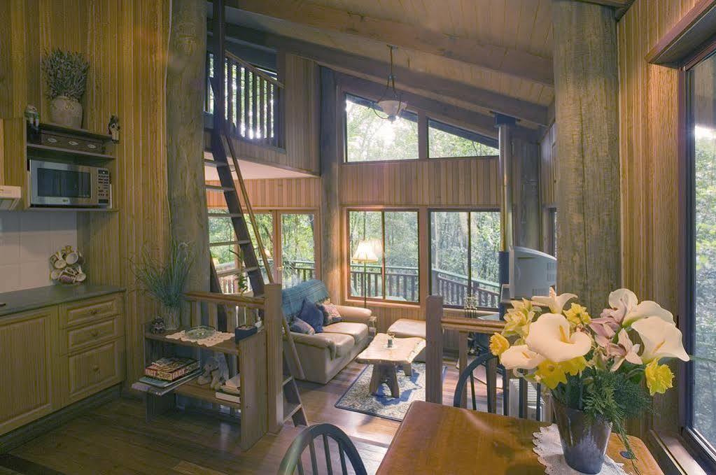 Springbrook Lyrebird Retreat 빌라 외부 사진